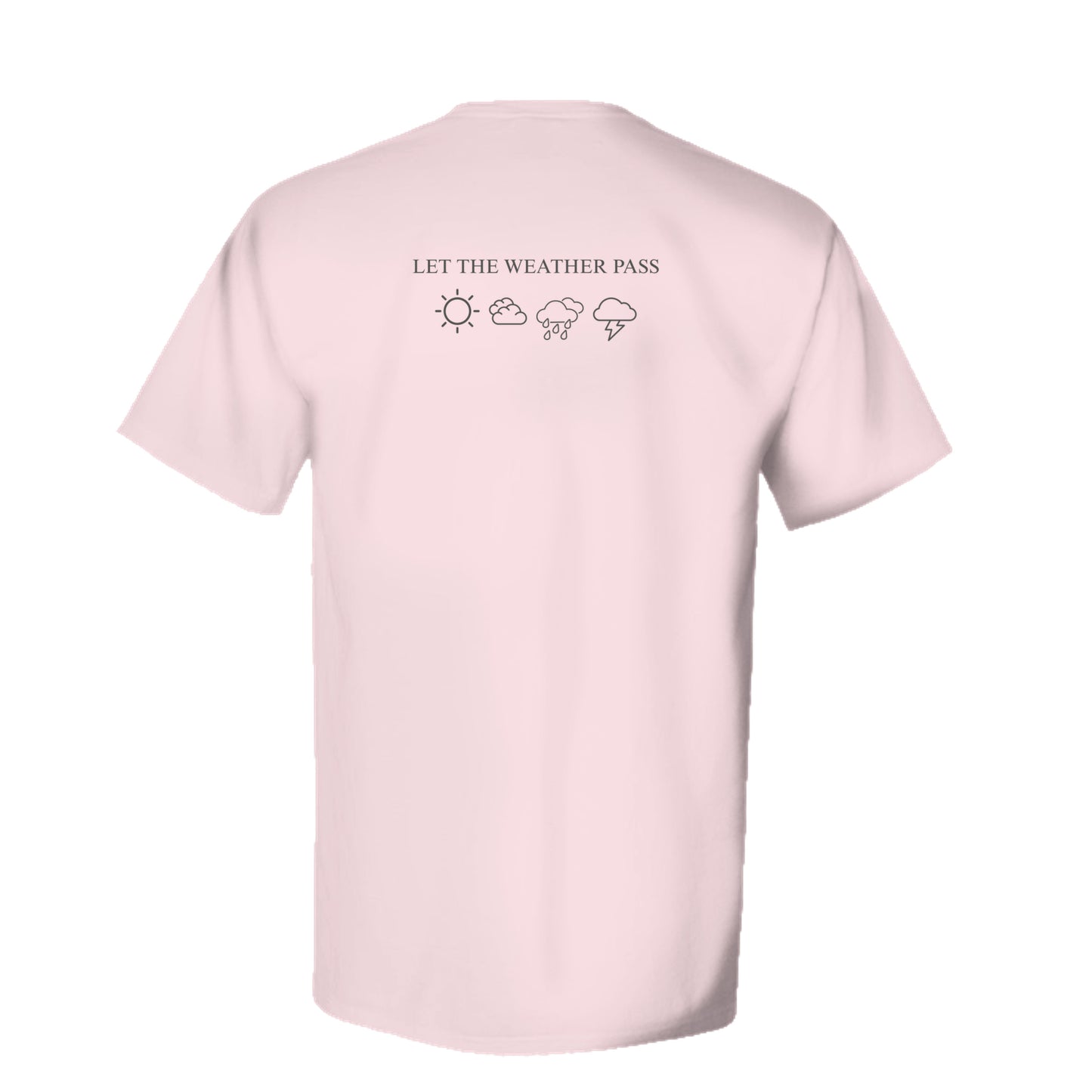 COTTON CANDY - GDH100 - BACK