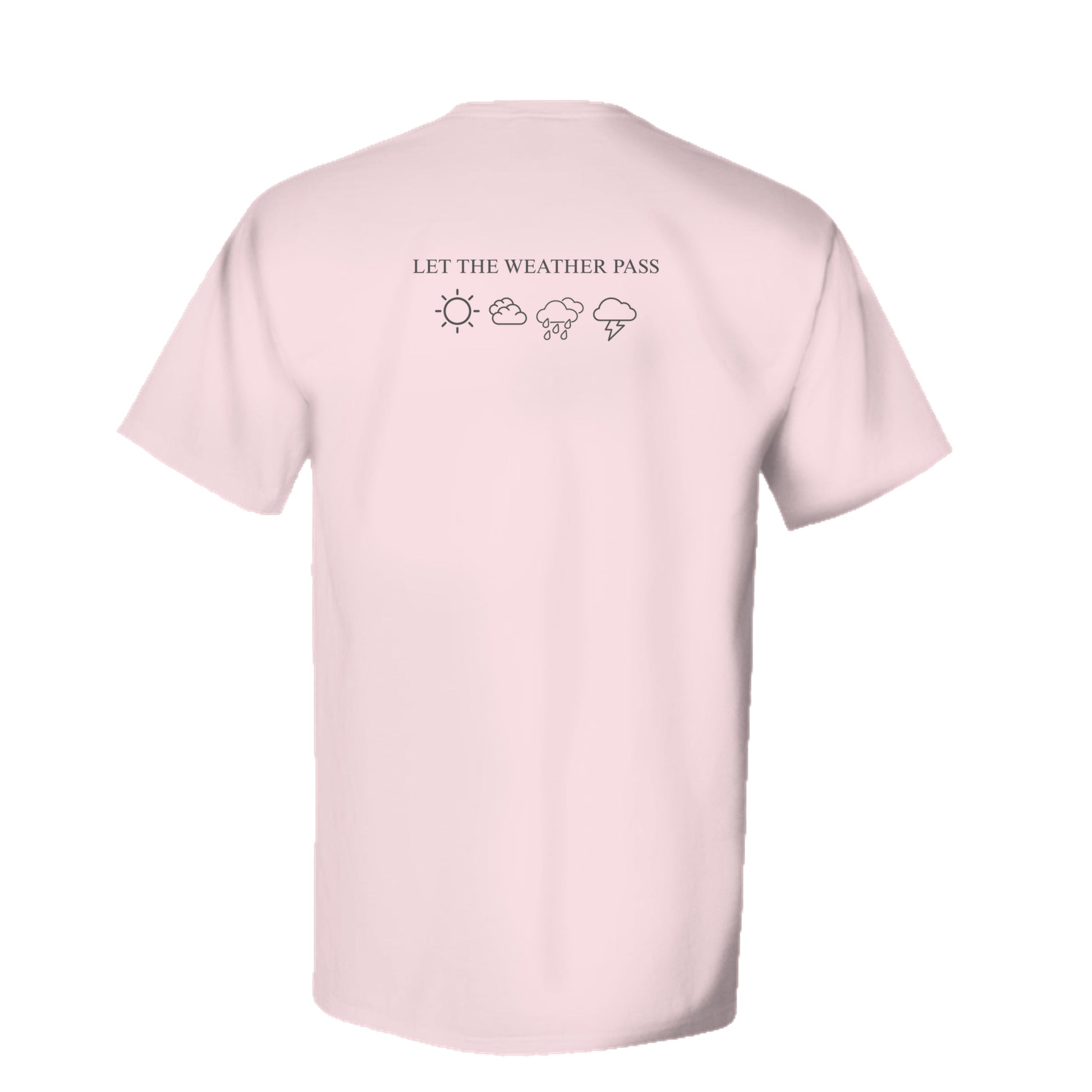 COTTON CANDY - GDH100 - BACK